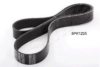 ASHIKA 112-8PK1225 V-Ribbed Belts